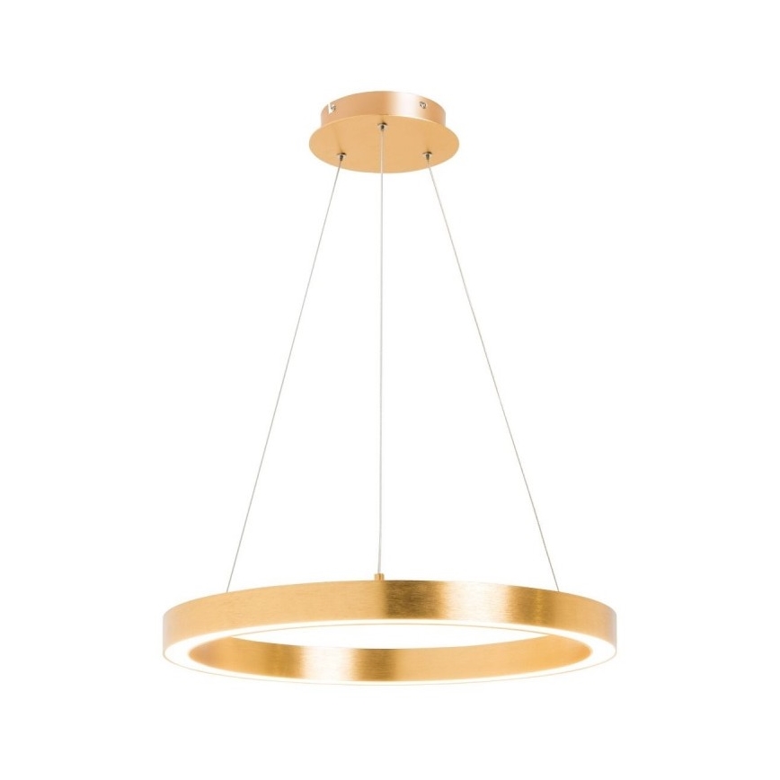 Zuma Line - LED Luster na lanku 1xLED/30W/230V 40 cm zlatá