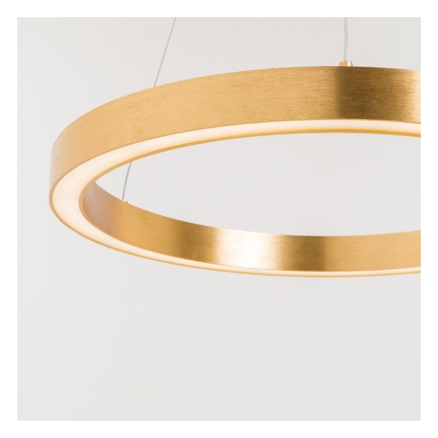 Zuma Line - LED Luster na lanku 1xLED/30W/230V 40 cm zlatá