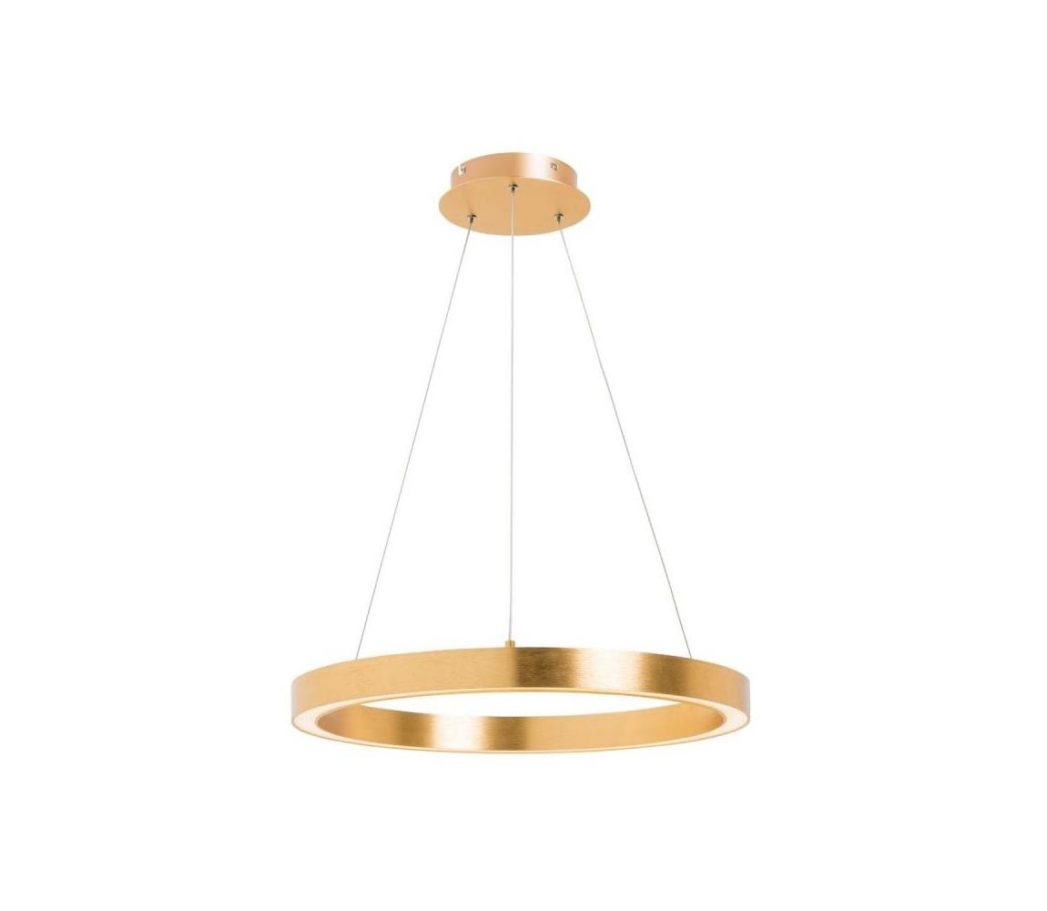 Zuma Line Zuma Line PL200910-500-GD- LED Luster na lanku CARLO LED/40W/230V pr. 50 cm zlatá