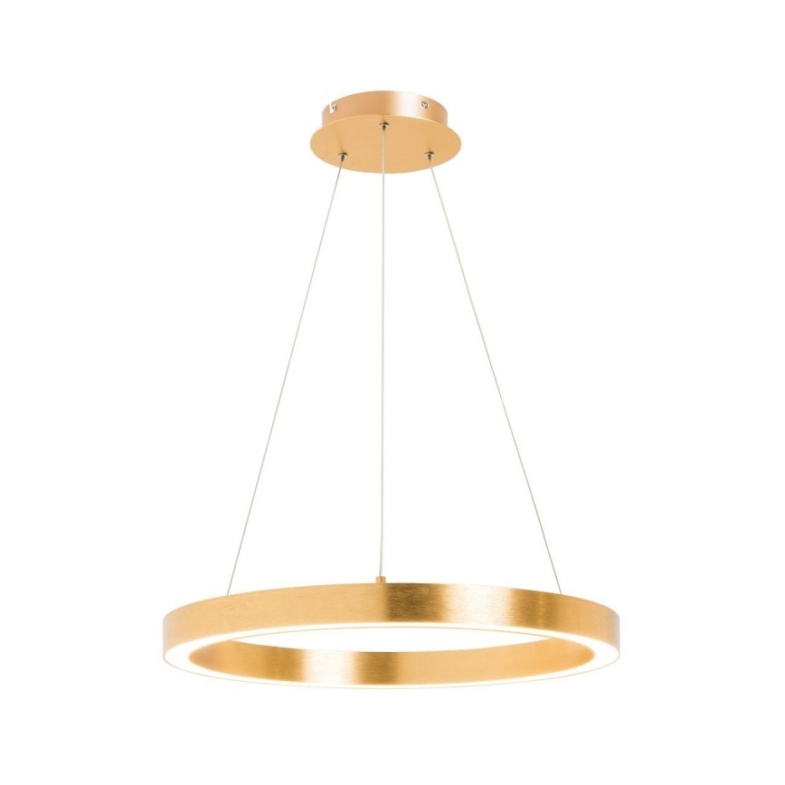 Zuma Line - LED Luster na lanku 1xLED/40W/230V pr. 50 cm zlatá