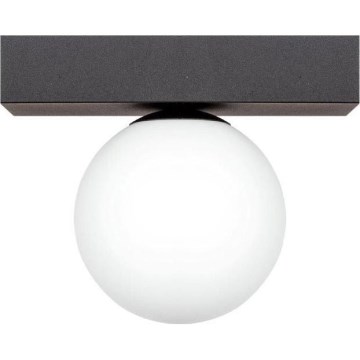 Zuma Line - Stropné svietidlo 1xG9/8W/230V čierna