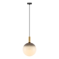 Zuma Line - Závesný luster na lanku 1xE27/25W/230V pr. 30 cm zlatá/čierna